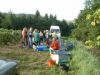 vendange 2004 002.jpg
